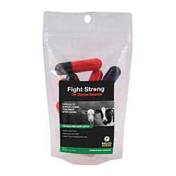 Fight Strong for Uterine Balance for Dairy and Beef Cattle  Strong Animals